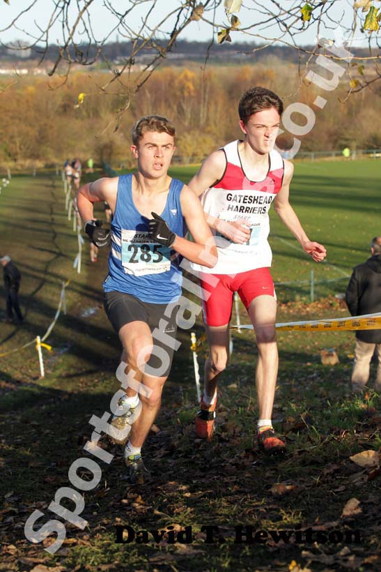 Blue 285 and 351, 2012 Start Fitness North East Harrier League, Blaydon.